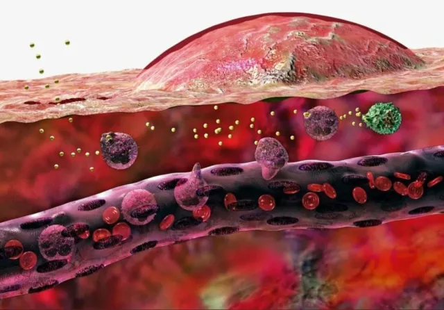 Illustration of tissue and blood vessels at microscopic scale